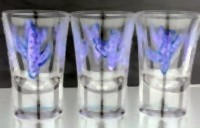 стъклопис Чаши Чаши за текила с кактуси